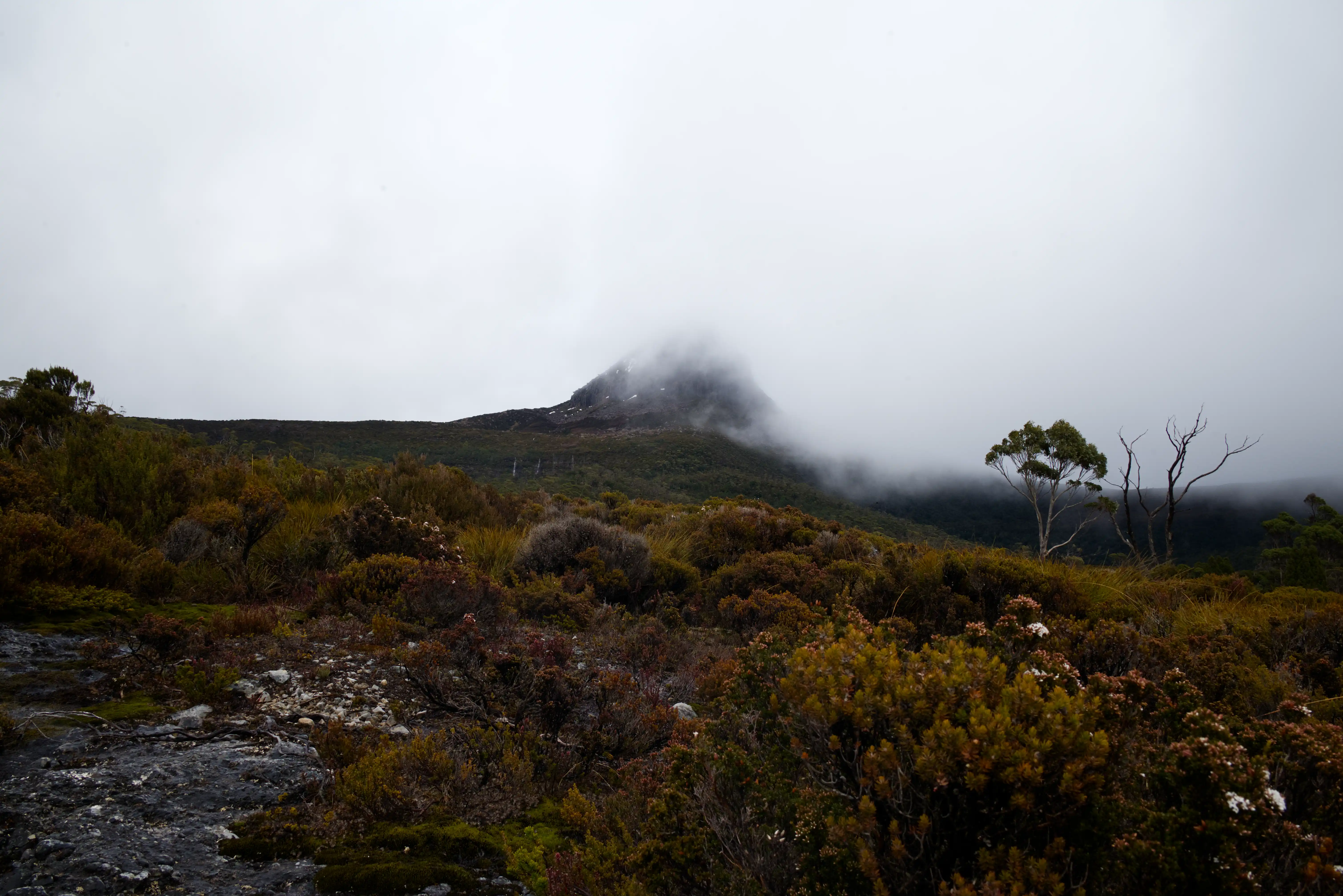 overland-track-fog-mountain-2025-11-10.webp