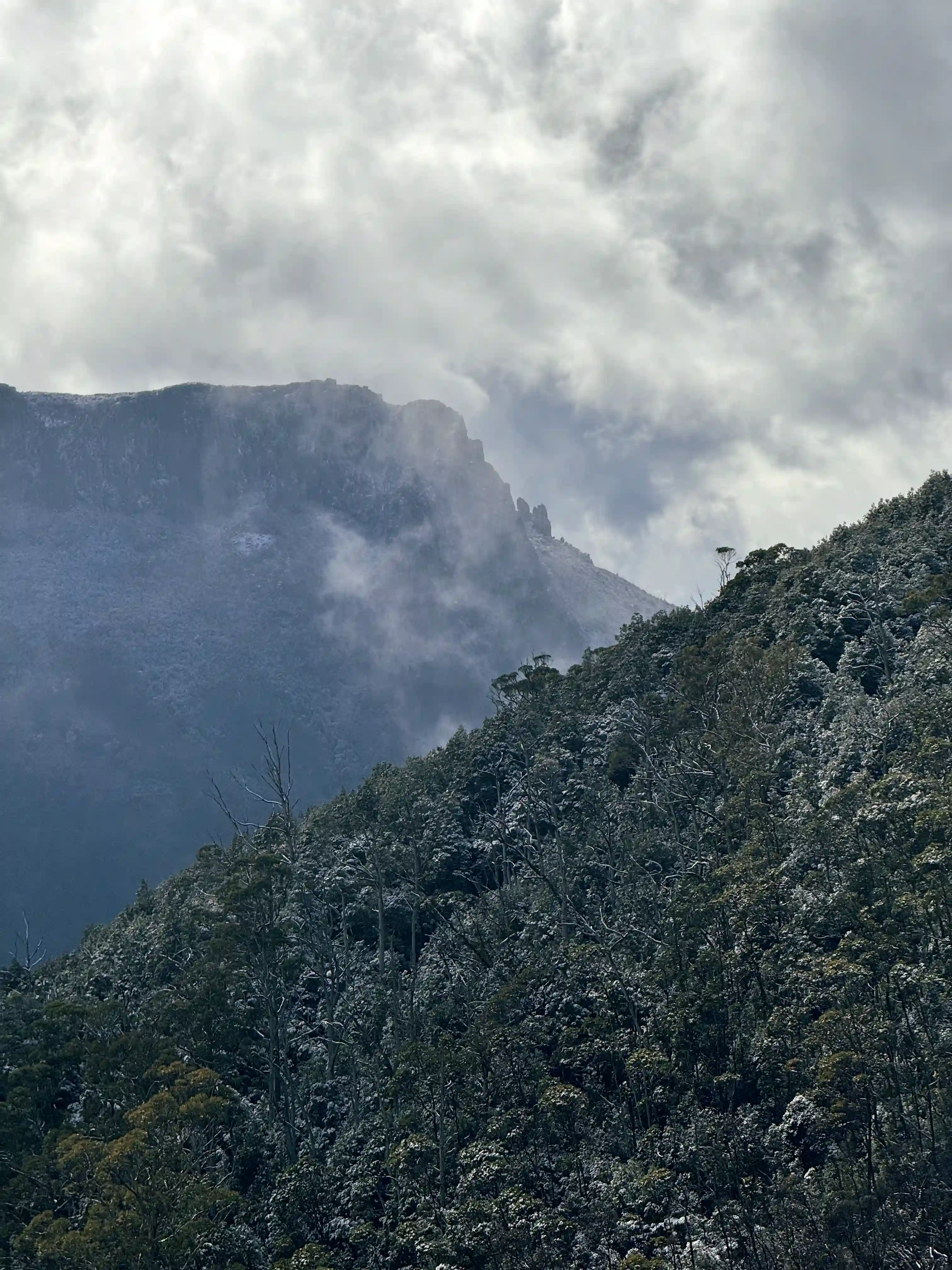 overland-track-forth-valley-view-2025-11-11.webp