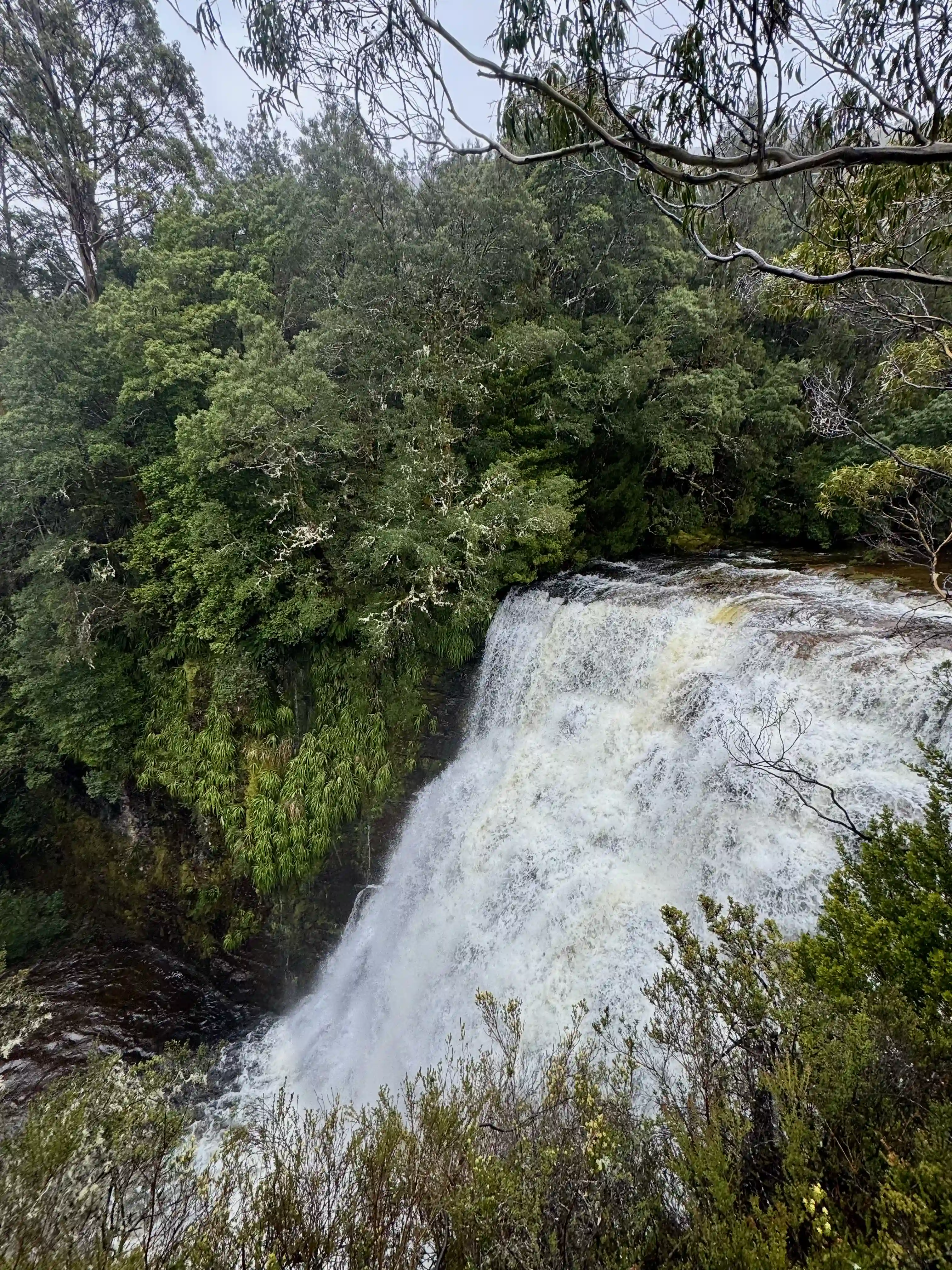overland-track-hartnett-falls-2025-11-13.webp
