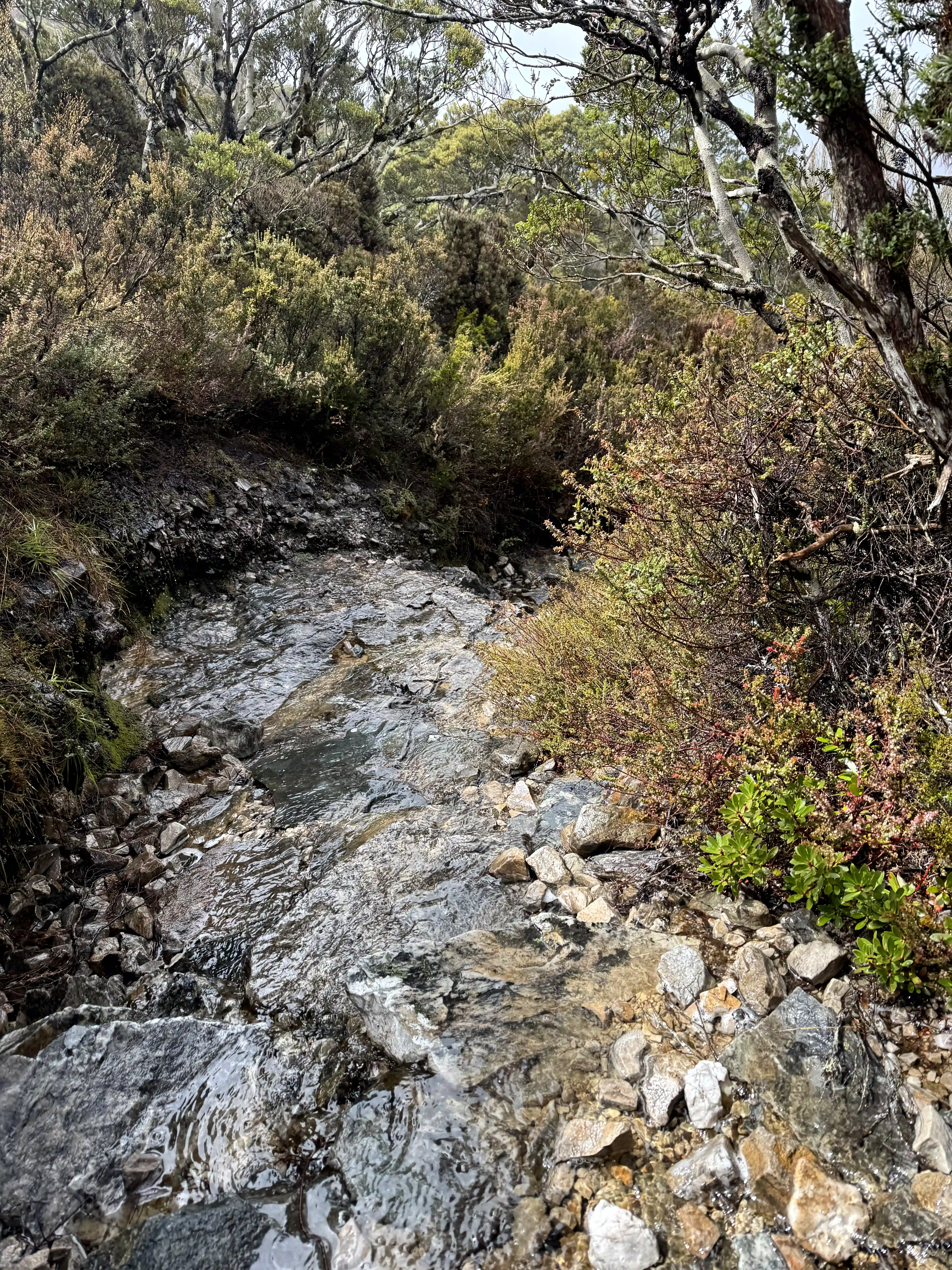 overland-track-rock-flow-2025-11-10.webp