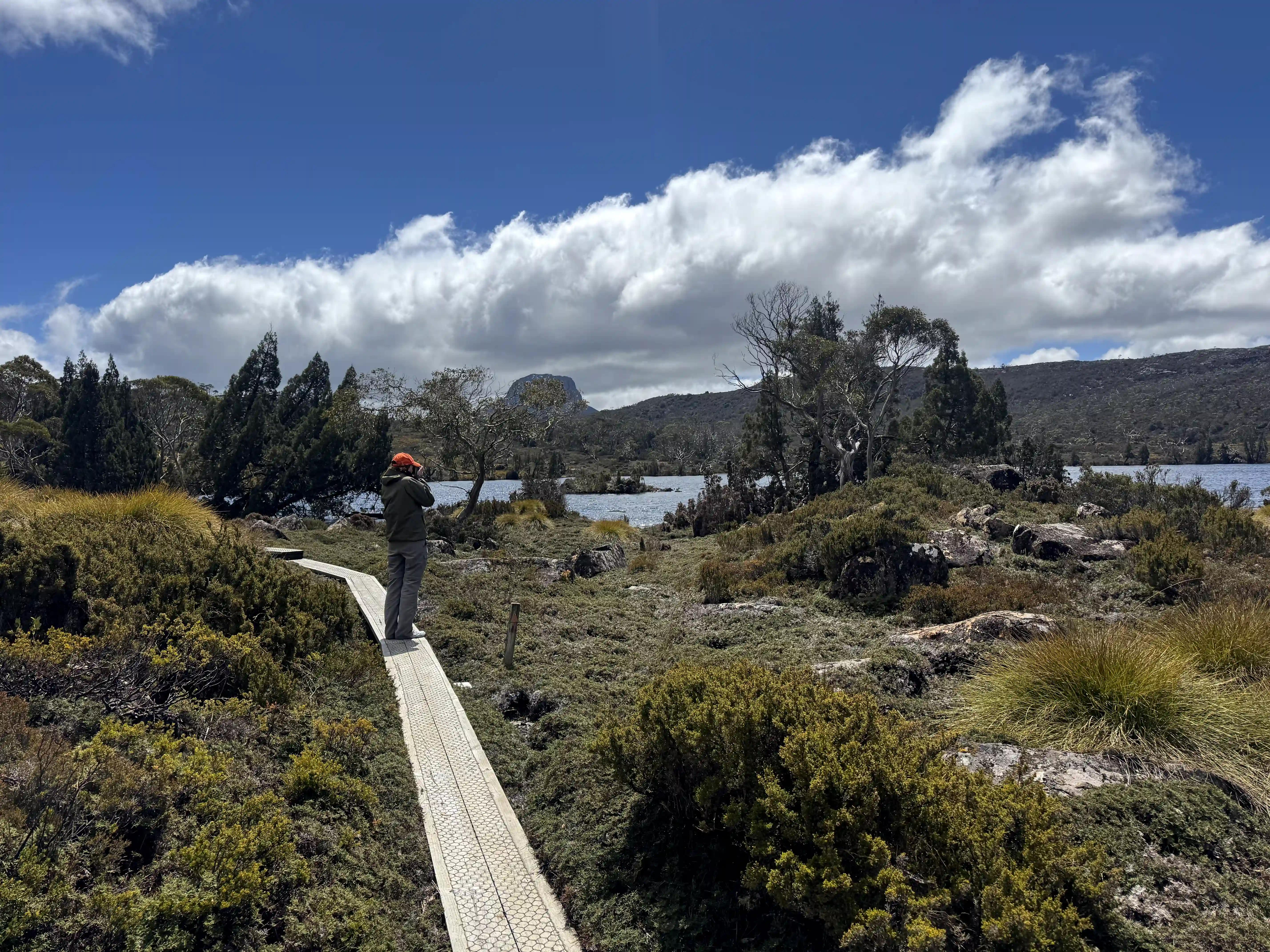 overland-track-sunny-windermere-2025-11-10.webp